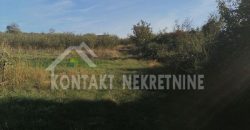 PLACEVI U BANJI VRDNIK