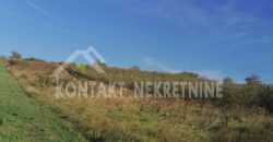 PLACEVI U BANJI VRDNIK