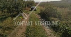 PLACEVI U BANJI VRDNIK