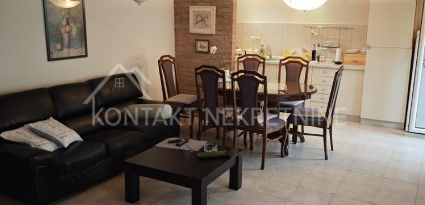 Renovirana Kuća U Nikincima