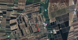 Prostran Plac Na Atraktivnoj Lokaciji – Borkovac, 82 Ara
