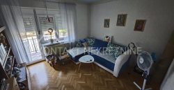 Prostrana Porodična Kuća Sa Uređenim Dvorištem I Pogledom Na Frušku Goru